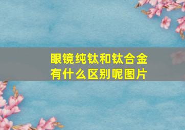 眼镜纯钛和钛合金有什么区别呢图片