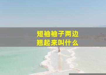 短袖袖子两边翘起来叫什么