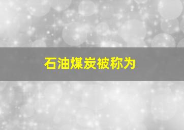 石油煤炭被称为