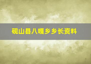 砚山县八嘎乡乡长资料