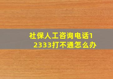 社保人工咨询电话12333打不通怎么办