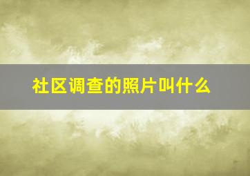 社区调查的照片叫什么