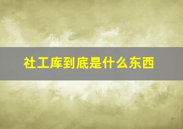 社工库到底是什么东西