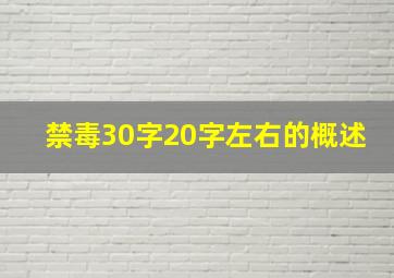 禁毒30字20字左右的概述