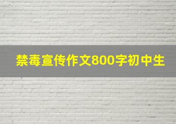 禁毒宣传作文800字初中生