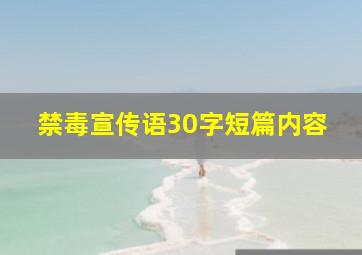 禁毒宣传语30字短篇内容