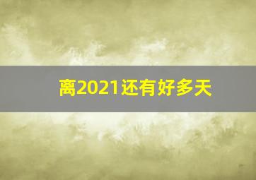 离2021还有好多天