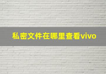 私密文件在哪里查看vivo