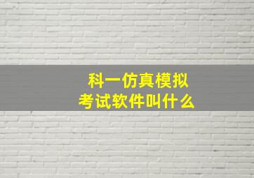 科一仿真模拟考试软件叫什么