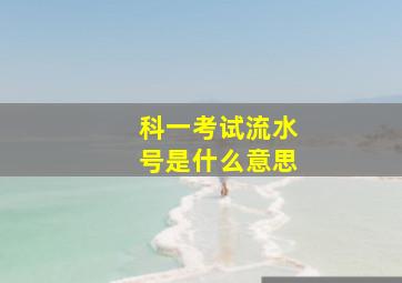 科一考试流水号是什么意思