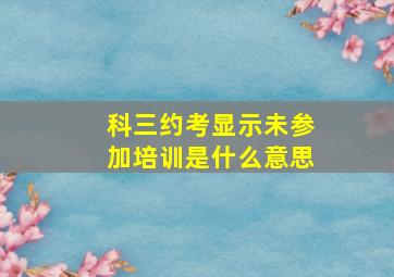 科三约考显示未参加培训是什么意思