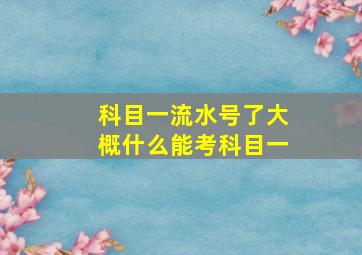 科目一流水号了大概什么能考科目一