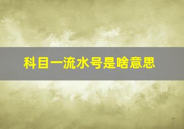 科目一流水号是啥意思