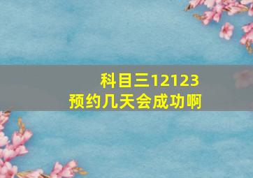 科目三12123预约几天会成功啊