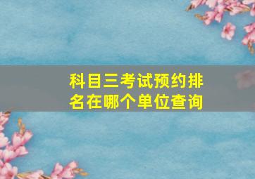 科目三考试预约排名在哪个单位查询