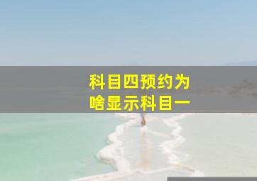 科目四预约为啥显示科目一