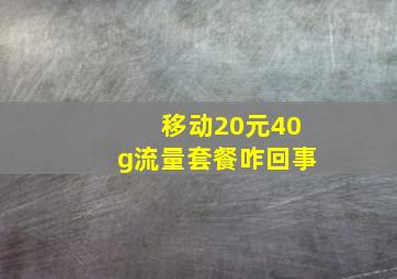 移动20元40g流量套餐咋回事