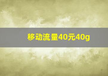 移动流量40元40g