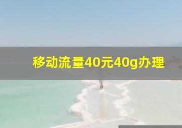 移动流量40元40g办理