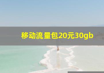 移动流量包20元30gb