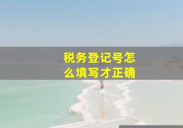 税务登记号怎么填写才正确