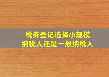 税务登记选择小规模纳税人还是一般纳税人