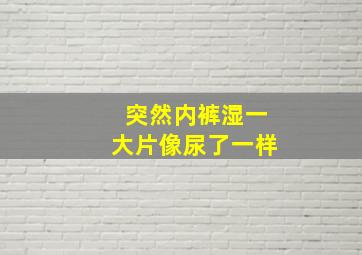 突然内裤湿一大片像尿了一样