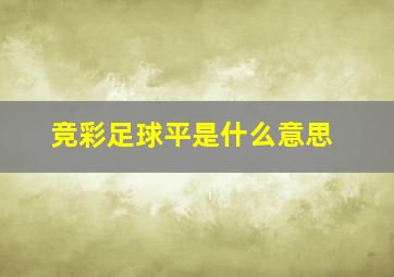 竞彩足球平是什么意思