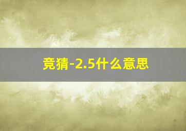 竞猜-2.5什么意思