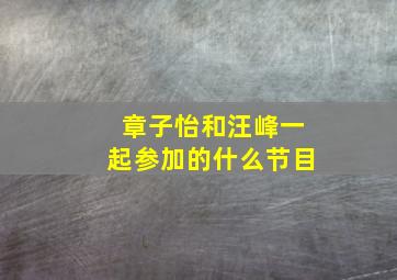 章子怡和汪峰一起参加的什么节目