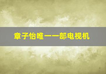 章子怡唯一一部电视机