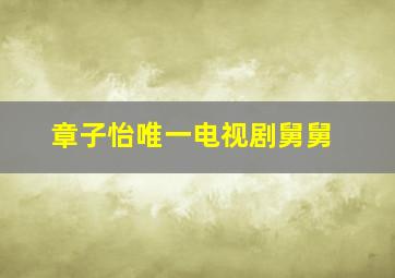 章子怡唯一电视剧舅舅