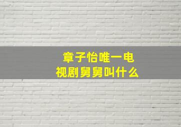 章子怡唯一电视剧舅舅叫什么