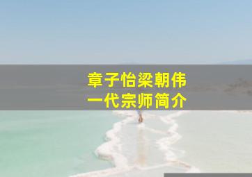 章子怡梁朝伟一代宗师简介