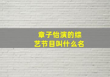 章子怡演的综艺节目叫什么名