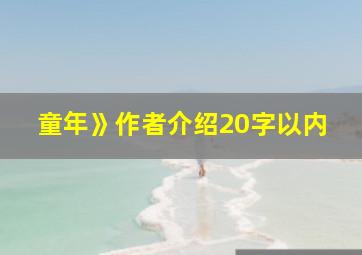 童年》作者介绍20字以内