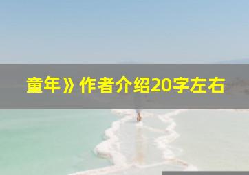 童年》作者介绍20字左右