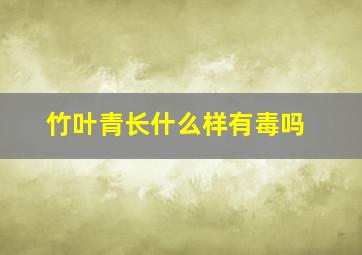 竹叶青长什么样有毒吗