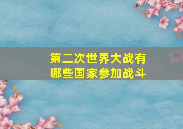 第二次世界大战有哪些国家参加战斗