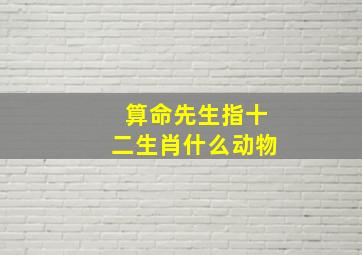 算命先生指十二生肖什么动物