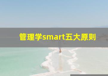 管理学smart五大原则