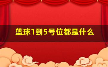 篮球1到5号位都是什么