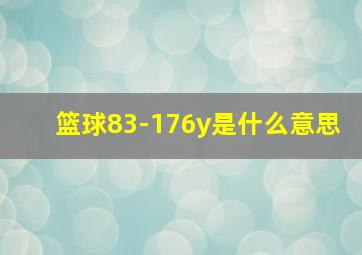 篮球83-176y是什么意思