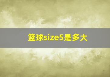 篮球size5是多大