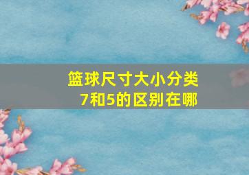 篮球尺寸大小分类7和5的区别在哪