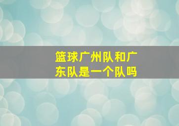 篮球广州队和广东队是一个队吗