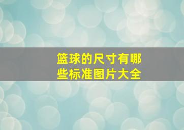 篮球的尺寸有哪些标准图片大全