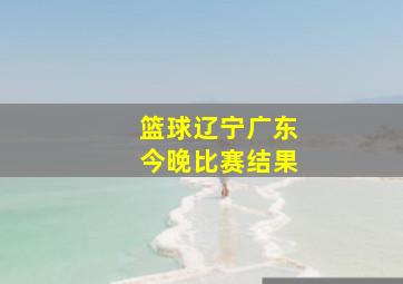 篮球辽宁广东今晚比赛结果