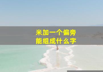 米加一个偏旁能组成什么字