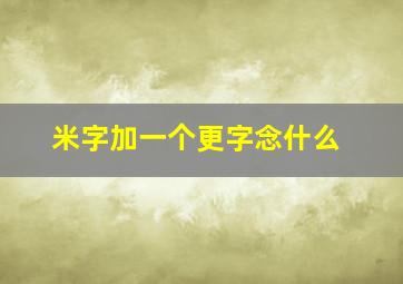 米字加一个更字念什么